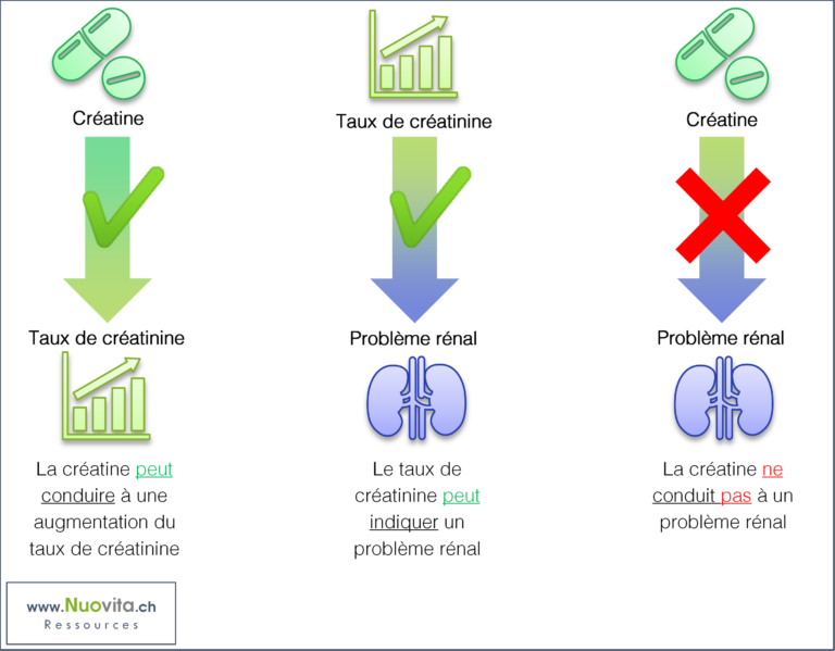 Effet de la créatine sur les reins procès en diffamation? Nuovita